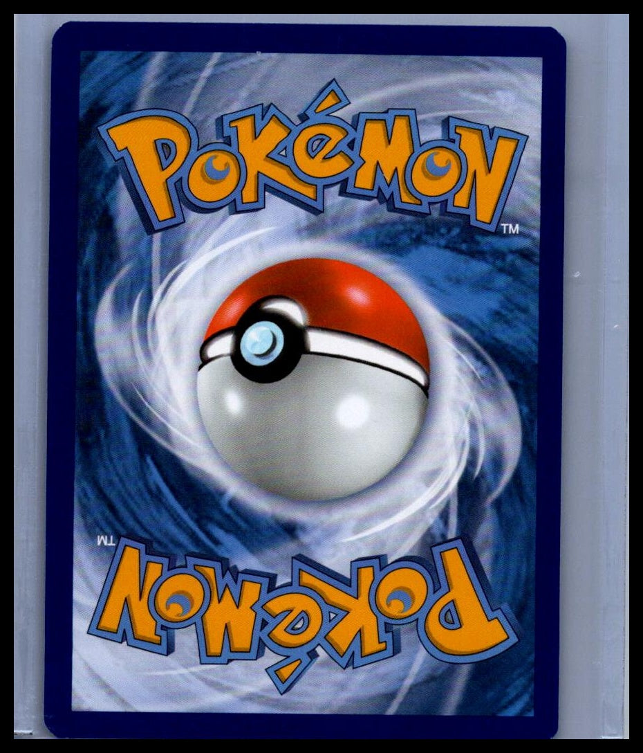 Charizard VSTAR SWSH: Sword & Shield Promo Cards #SWSH262