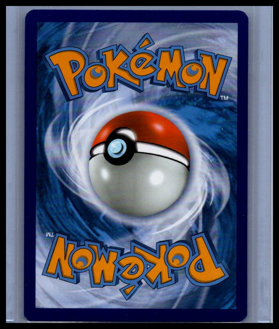 Charizard VSTAR SWSH: Sword & Shield Promo Cards #SWSH262