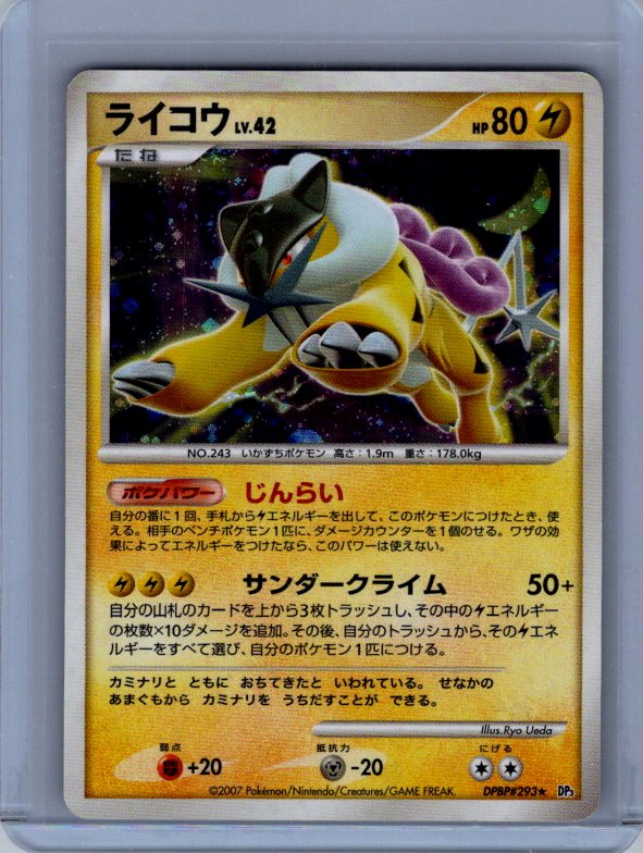 Raikou DP3: Shining Darkness #293